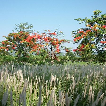 Lilawalai Resort Nong Nam Daeng Bagian luar foto