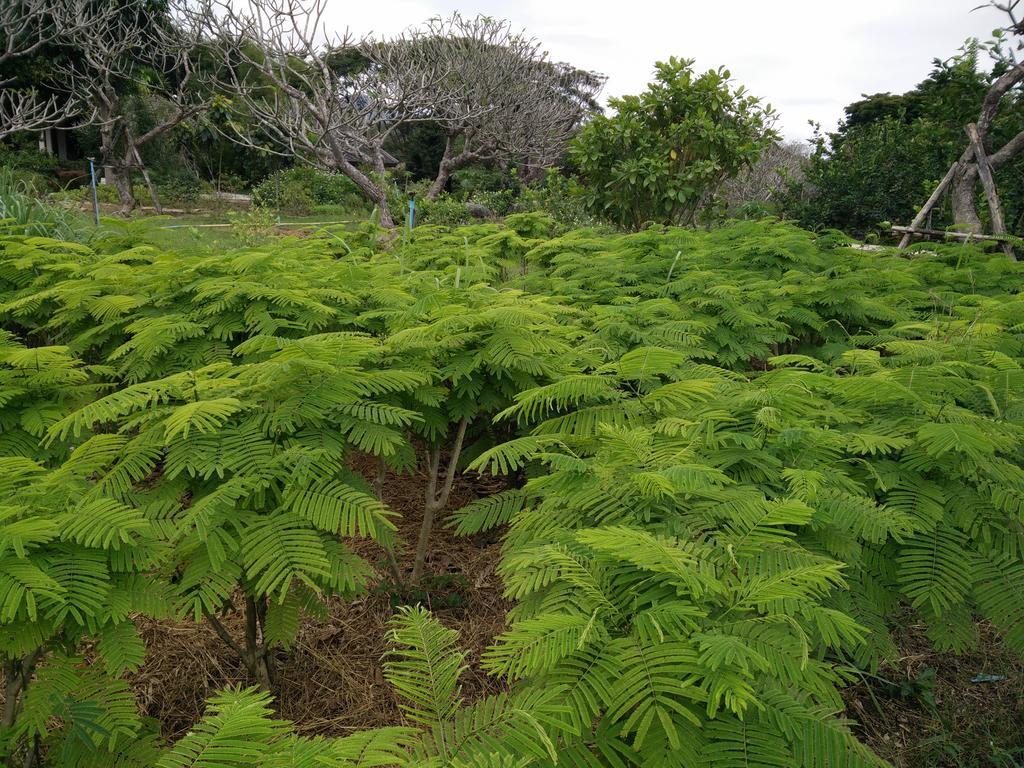 Lilawalai Resort Nong Nam Daeng Bagian luar foto