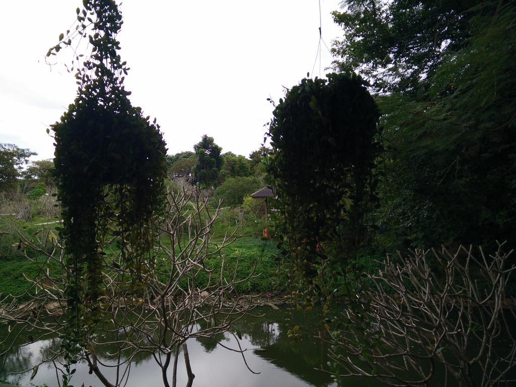 Lilawalai Resort Nong Nam Daeng Bagian luar foto